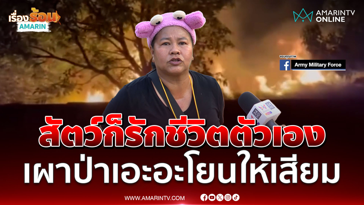 "เจ๊เเอ๋" เดือด สัตว์ก็รักชีวิตตัวเอง เขมรเผาป่าเอะอะโยนให้เสียม