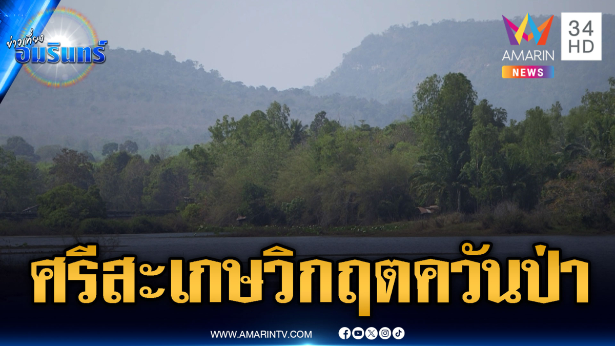 วันนี้เขมรเผาป่าตลอดแนว ทำวิกฤตควันไฟปกคลุมทั่วพื้นที่