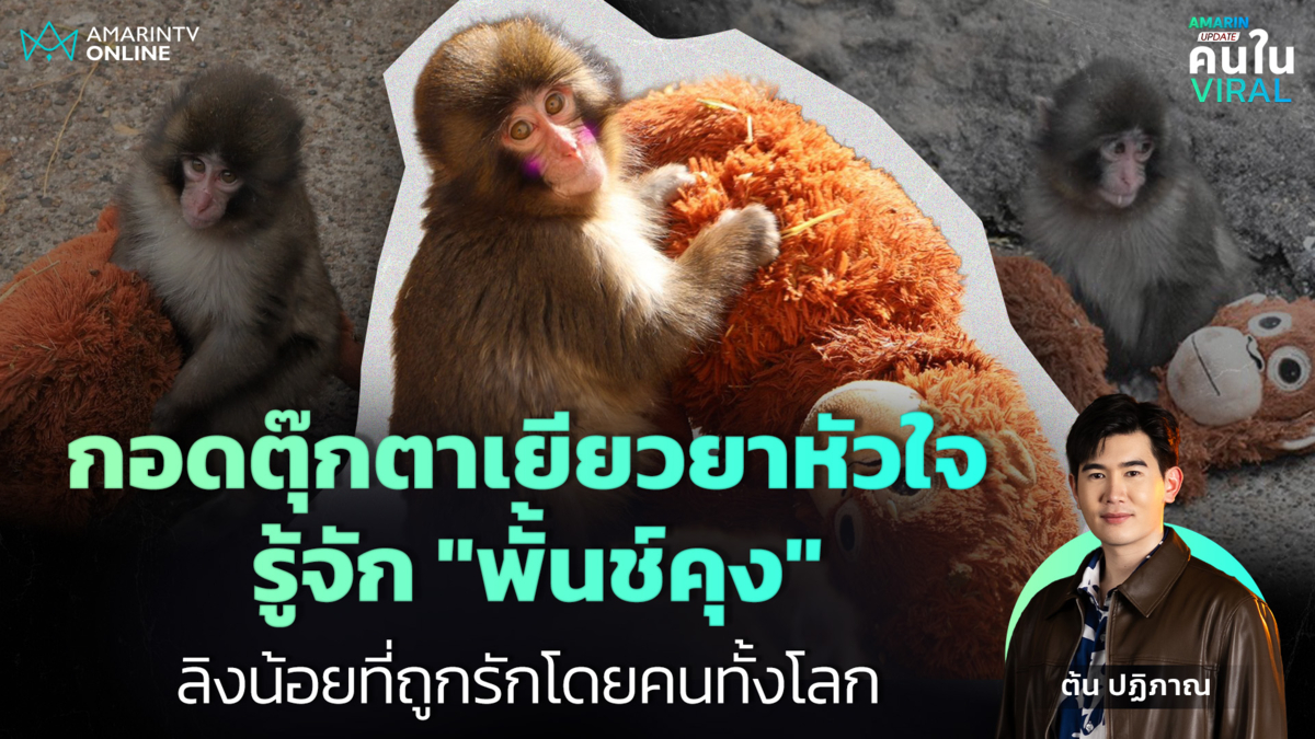 กอดตุ๊กตาเยียวยาหัวใจ รู้จัก "พั้นช์คุง" ลิงน้อยที่ถูกรักโดยคนทั้งโลก
