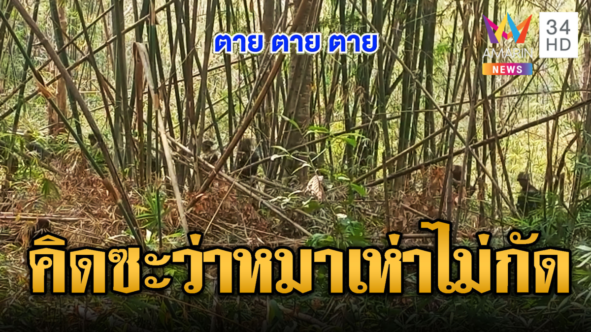 ทหารเขมรยั่วยุ ตะโกนไล่ไทยลาดตระเวน