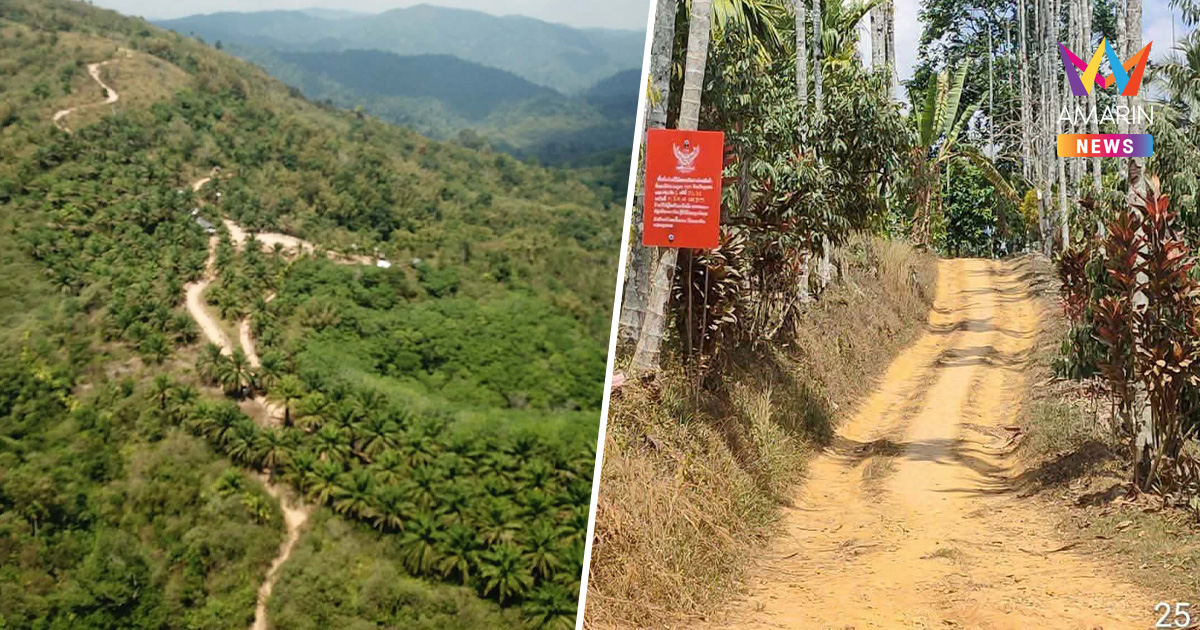 ฉาวสนั่นป่า! แฉเส้นทางเถื่อน "ถนนลับรุกป่าชายแดนชุมพร" เปิดโล่ง