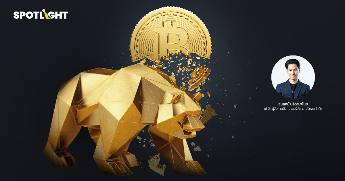 เราสามารถรู้จุดต่ำสุดของตลาดได้ไหม ?