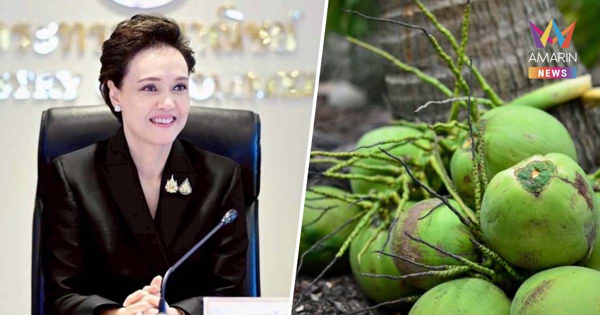 ศุภจี ลุยแก้ปัญหามะพร้าวน้ำหอม ครบวงจร หาตลาดรองรับในประเทศ-ต่างประเทศ