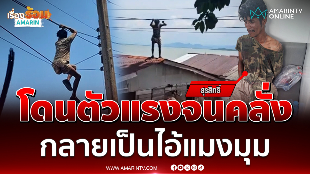 หนุ่มเล่นตัวแรงคลั่ง ไต่สายไฟเหมือนไอ้แมงมุมเป๊ะ