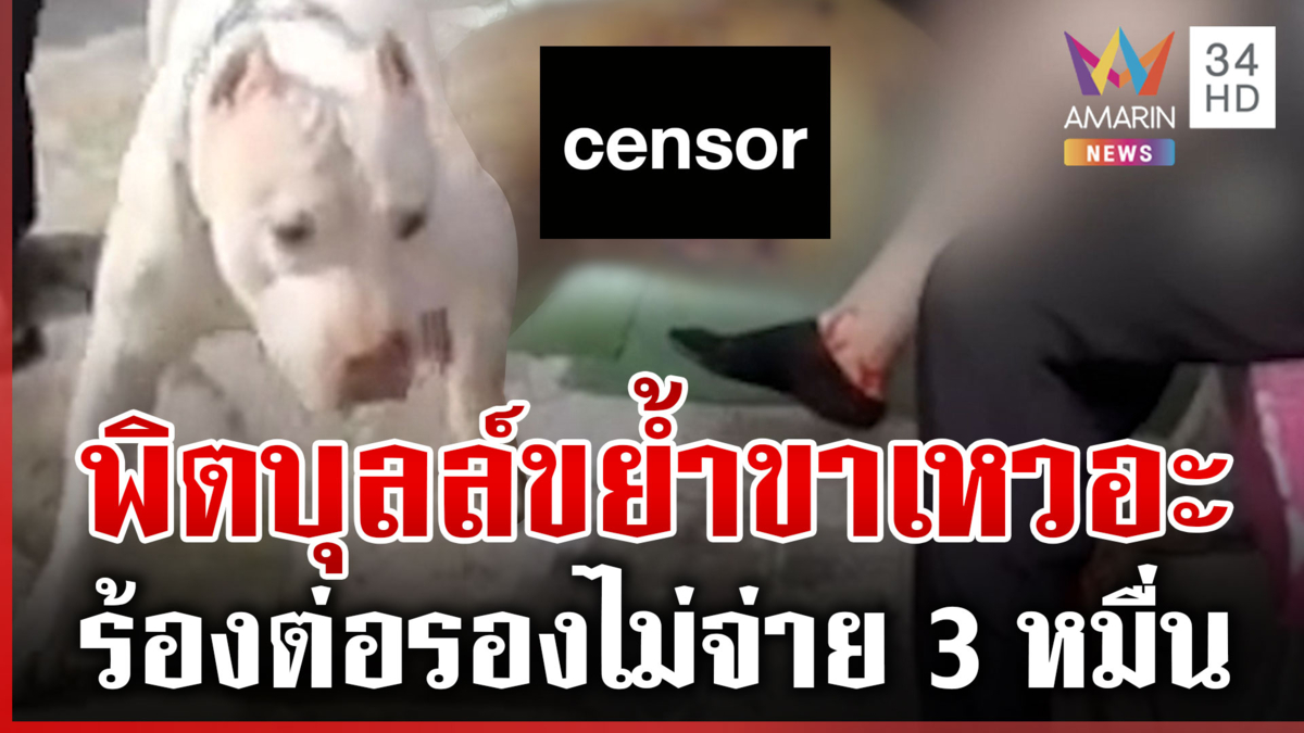 ไรเดอร์สาวร้องพิตบุลล์กัด แต่เจ้าของขอจ่ายแค่ 2 หมื่น