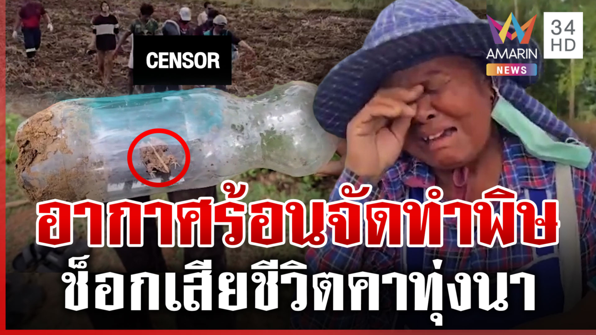 แดดร้อนทำพิษ! หนุ่มหาเขียดช็อกเสียชีวิตคาทุ่งนา แม่ร่ำไห้สูญเสียลูก