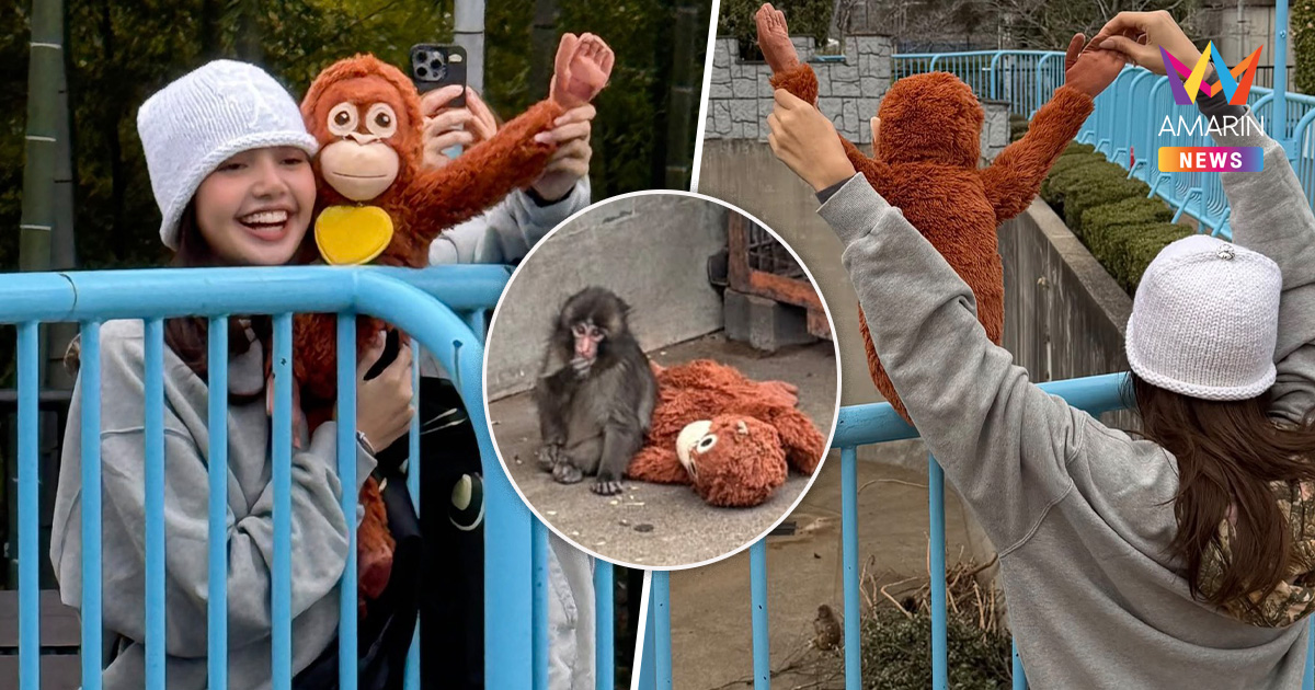 "น้องพันช์คุง" ฟีเวอร์สุด "ลิซ่า" ยังไม่พลาด! ถือตุ๊กตาลิงตัวโปรดไปหา