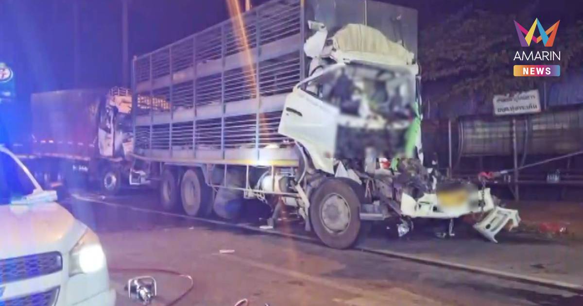 รถพ่วงบรรทุกปุ๋ยเบรกไม่อยู่ ชนสิบล้อขนหมู - กระบะ ดับ 2 หมูตายเกลื่อน