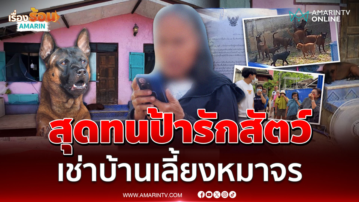 เพื่อนบ้านโอด ป้ารักสัตว์ เช่าบ้านเลี้ยงฝูงหมาจร ทั้งเห่าทั้งเหม็น