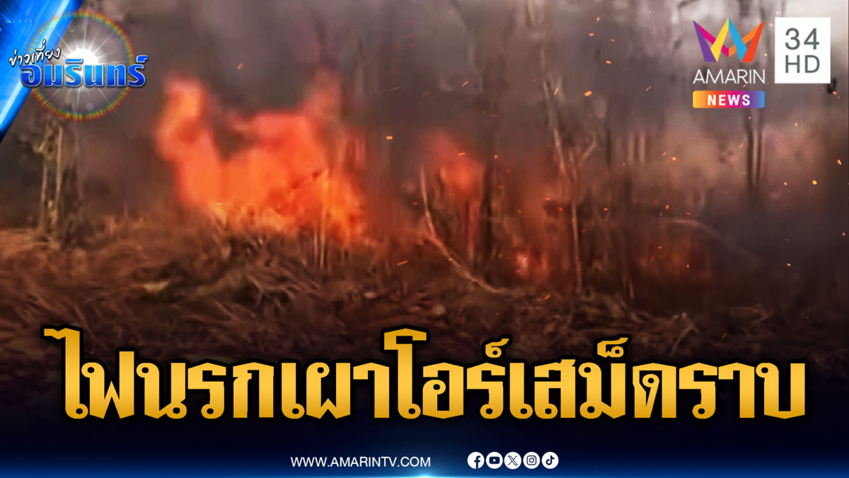 โอร์เสม็ดไฟไหม้ราบ! เขมรจุดไฟเผาแต่ไหม้ฐานตัวเอง