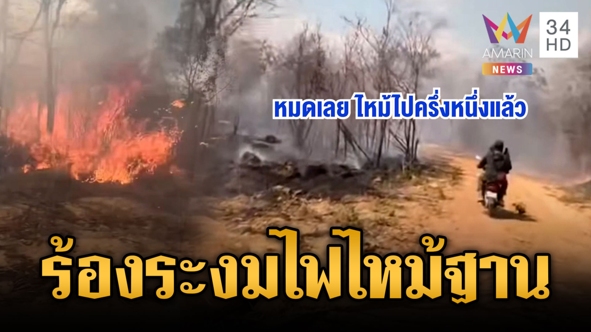 เขมรไม่เข็ดเผาป่าหวังป่วนไทย แต่ลมหวนไหม้ฐานตัวเอง