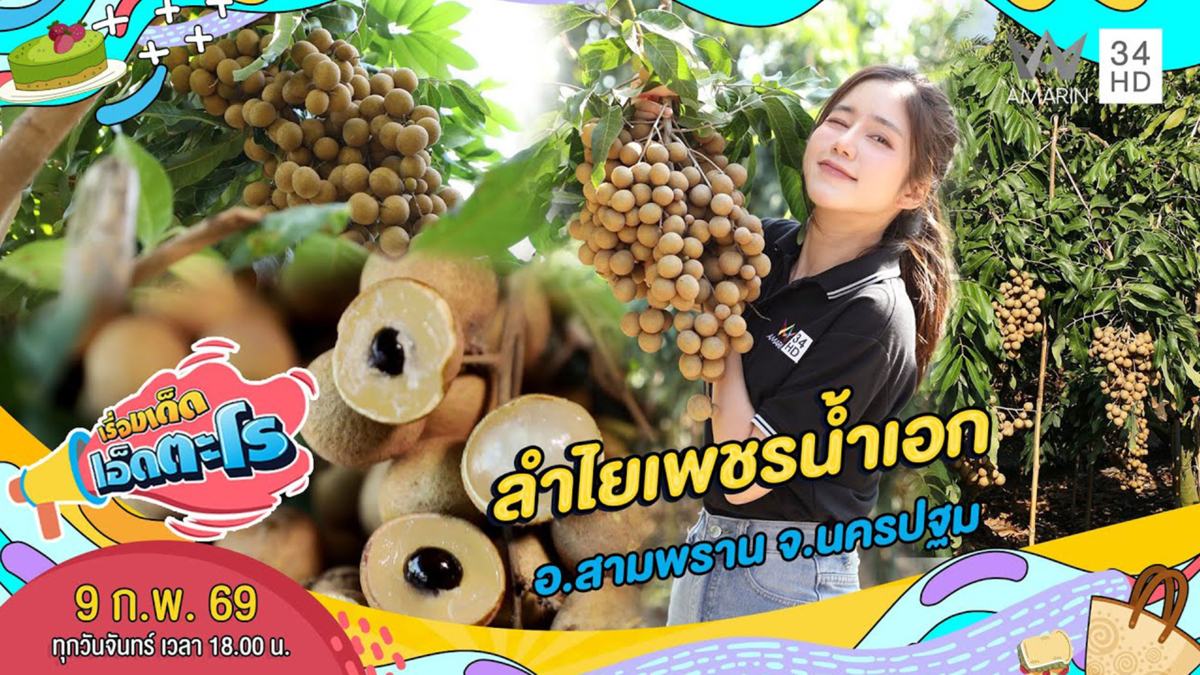 ลำไยเพชรน้ำเอก อ.สามพราน จ.นครปฐม