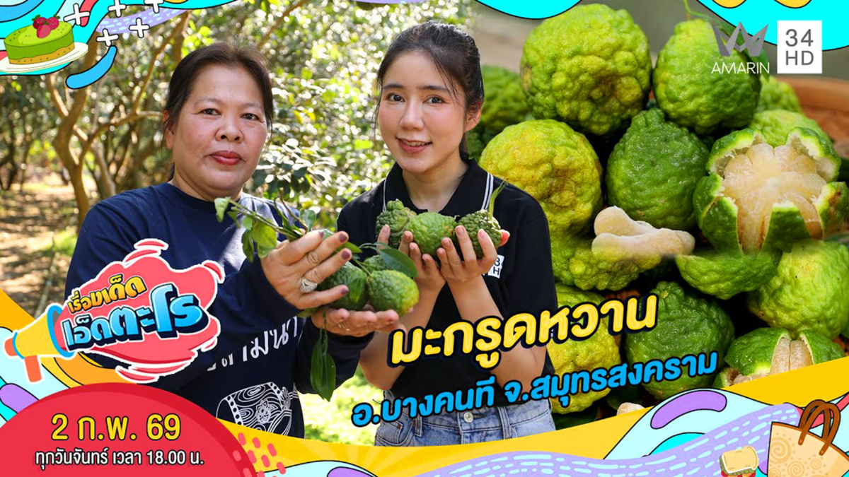 มะกรูดหวาน อ.บางคนที จ.สมุทรสงคราม