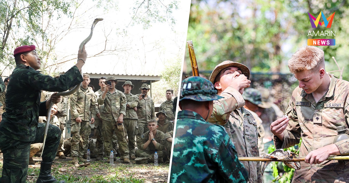 โซเชียลแห่แชร์! Cobra Gold 2026 ทหารไทยสอนทัพนานาชาติกินงู