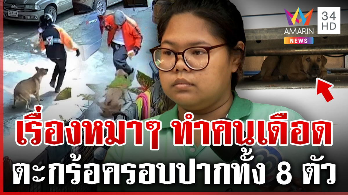 สาวโต้ปล่อยหมากัดเพื่อนบ้าน ขอเวลา 2 วันจบเรื่อง