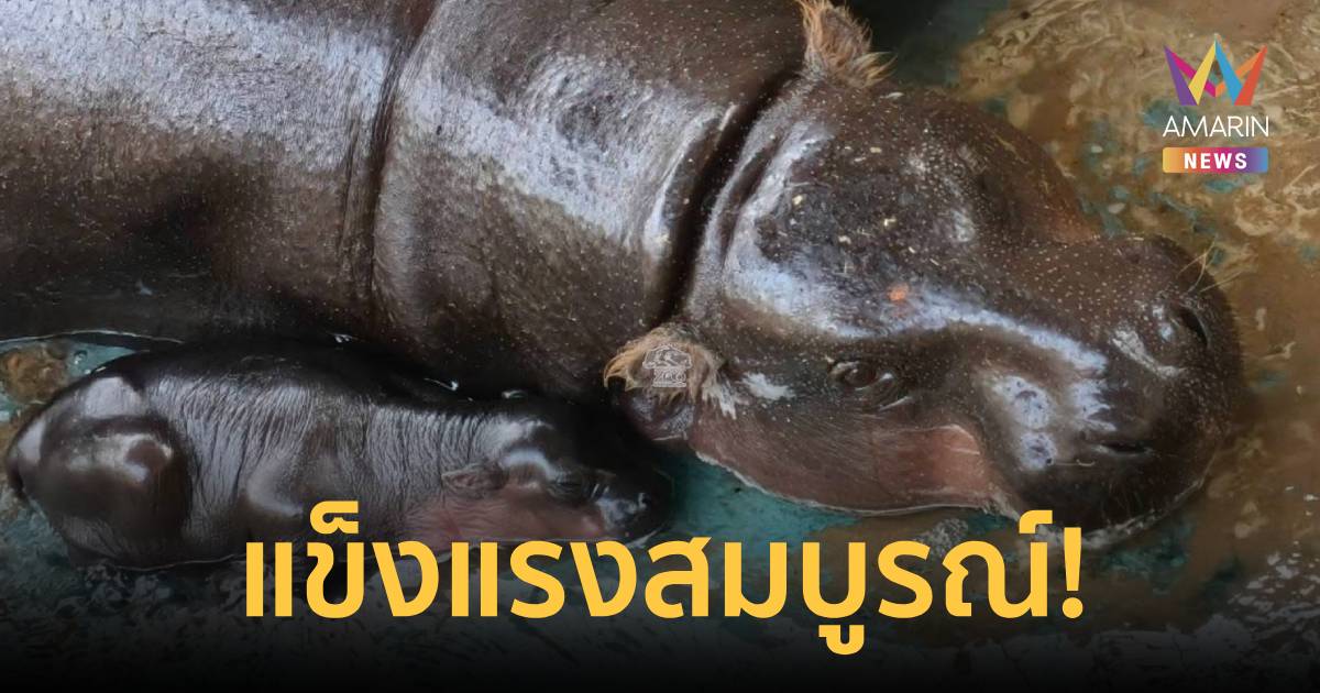 ทส. เผยข่าวดี! 