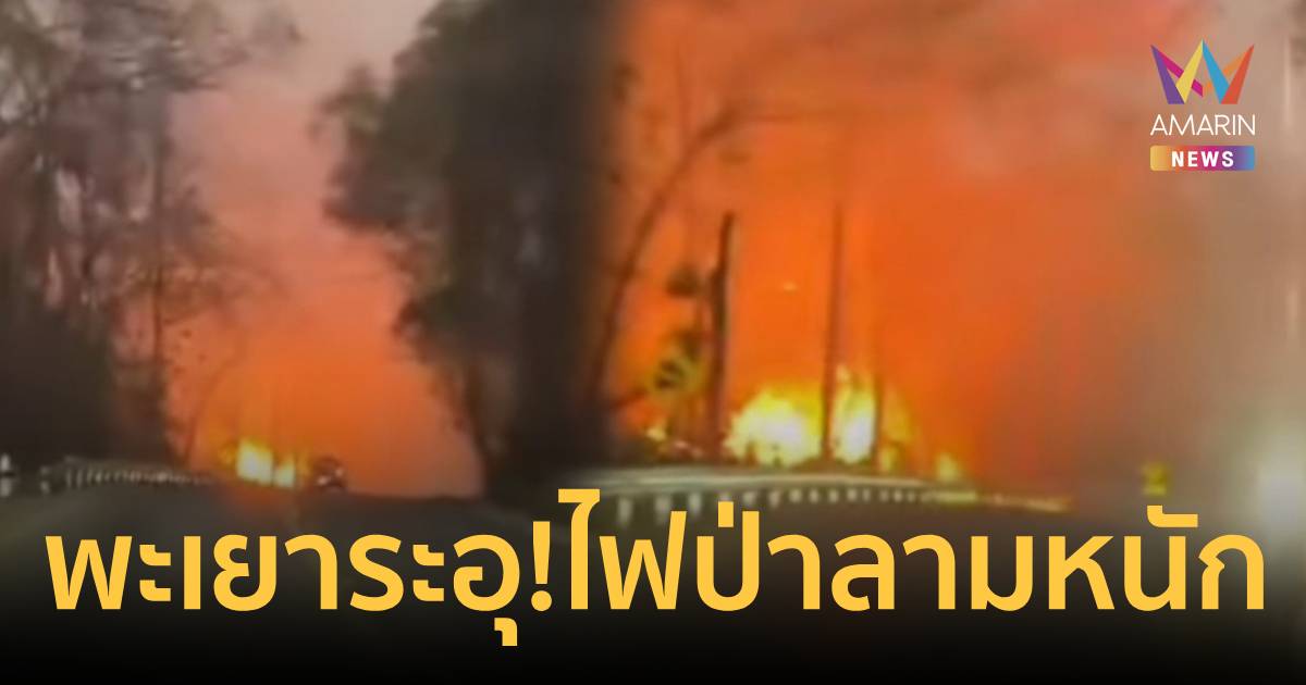 พะเยาระอุ! ไฟป่าลามเดือด ปง–จุน เปลวเพลิงโหมหนัก ลมแรงซ้ำเติม