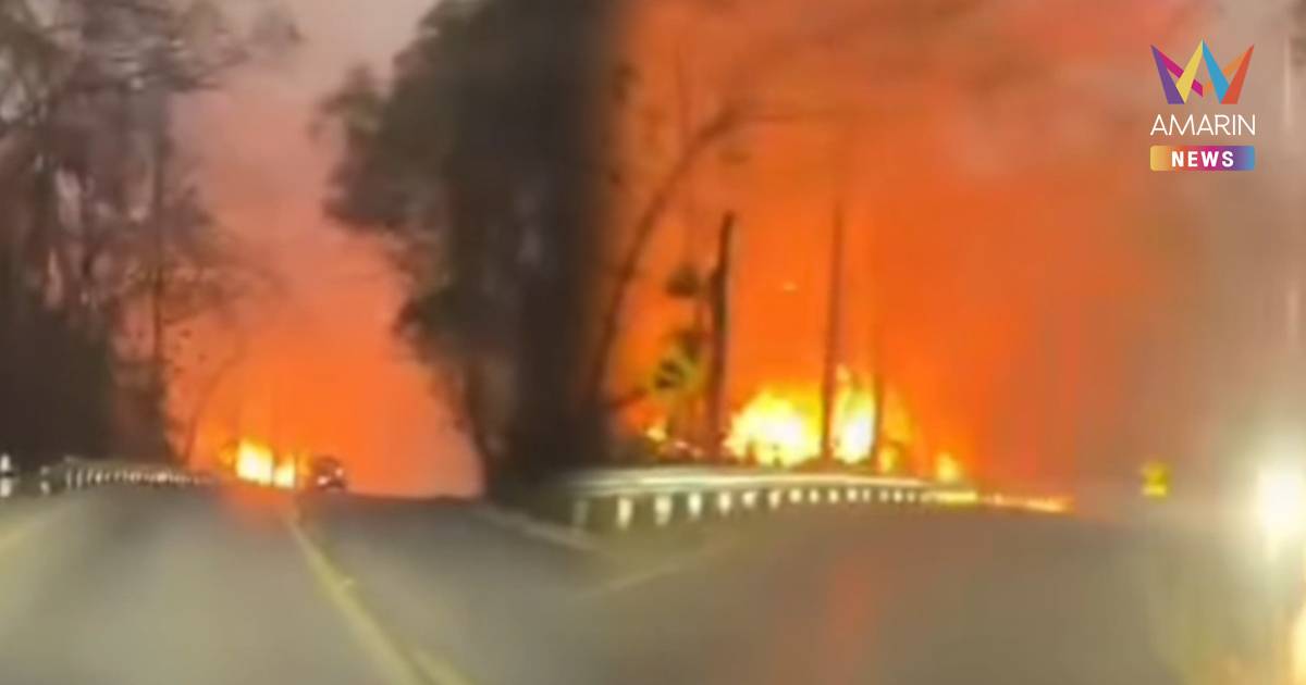 พะเยาระอุ! ไฟป่าลามเดือด ปง–จุน เปลวเพลิงโหมหนัก ลมแรงซ้ำเติม