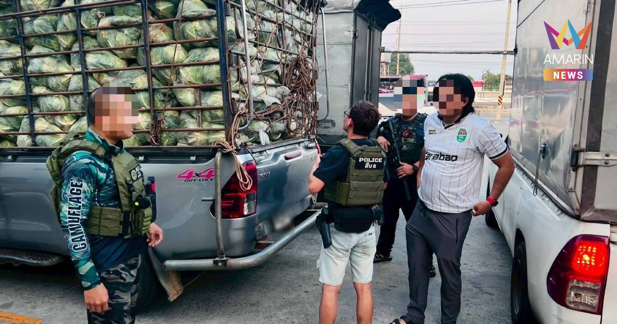 สืบนครบาล 6 สนธิกำลังทหาร รวบหนุ่มรับจ้างขนยานรก 1.6 ตัน ซ่อนใต้ผักสด