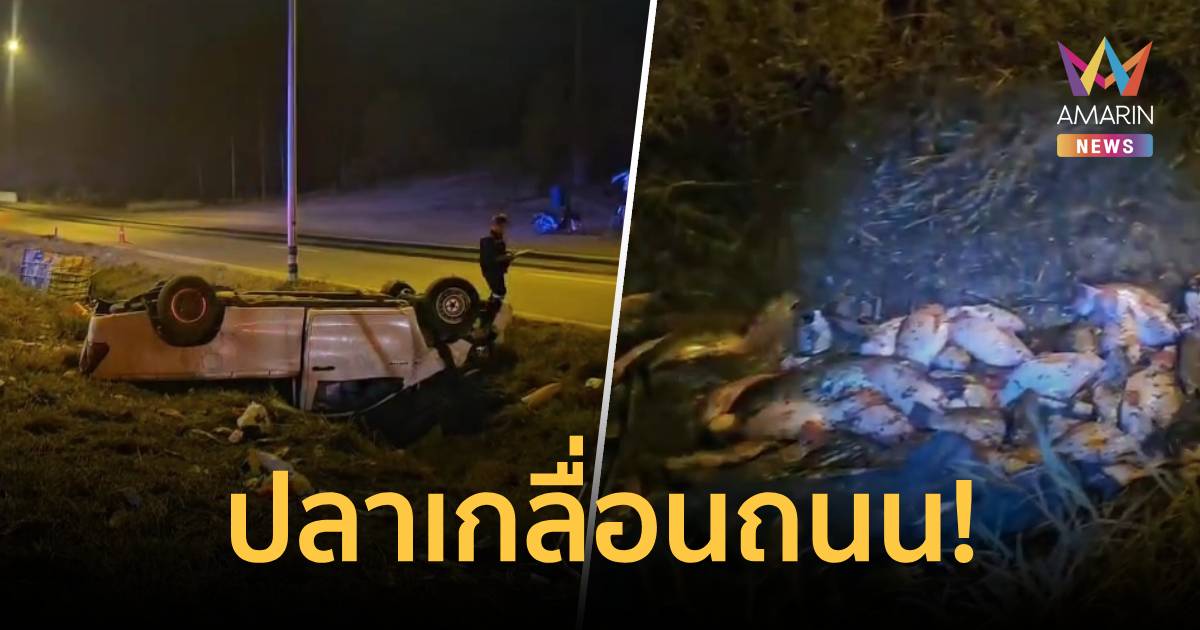 กระบะบรรทุกปลา 1,000 กก.พลิกคว่ำ เกลื่อนถนนสายลำปาง-แพร่