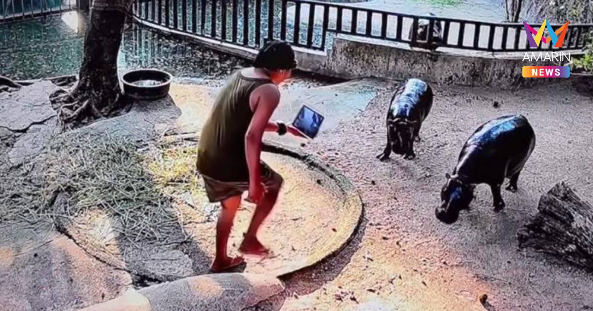 ศาลสั่งปรับ 1 หมื่น หนุ่มมือบอนปีนบ่อ “หมูเด้ง” สวนสัตว์เปิดเขาเขียว