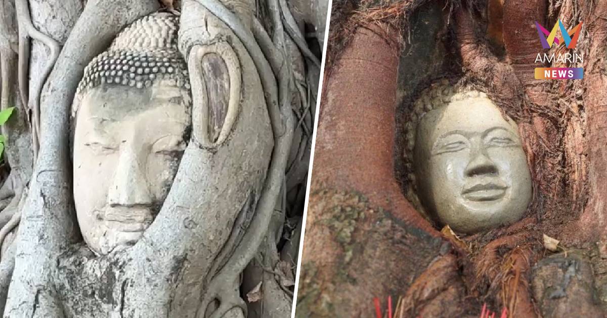 ดรามาข้ามพรมแดน! แห่แชร์ภาพวัดกัมพูชา สร้าง“เศียรพระในต้นโพธิ์”