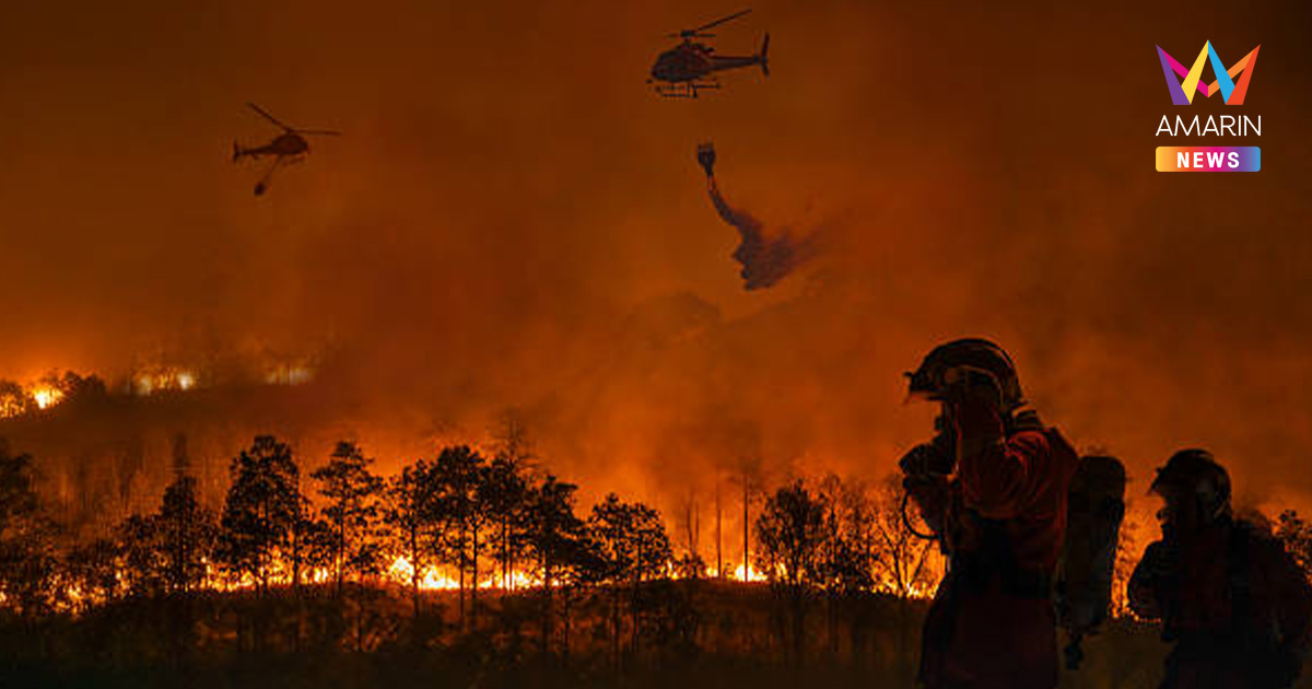 ลำพูนสั่งปิดป่าสงวน! ห้ามเข้า-ห้ามเผาเด็ดขาด ฝ่าฝืนคุก 10ปี ปรับ 2แสน