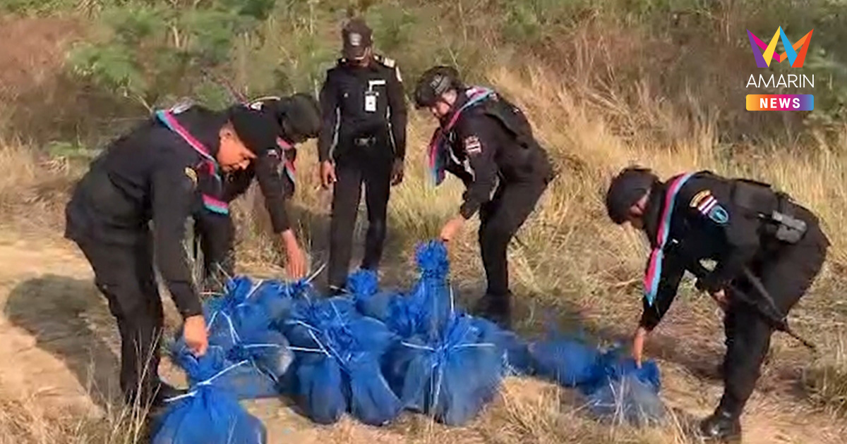 ยึด "ลิงแสม" 51 ชีวิต ซุกป่าอ้อยจ่อส่งออกเขมร เปิบพิสดารจีน-เวียดนาม