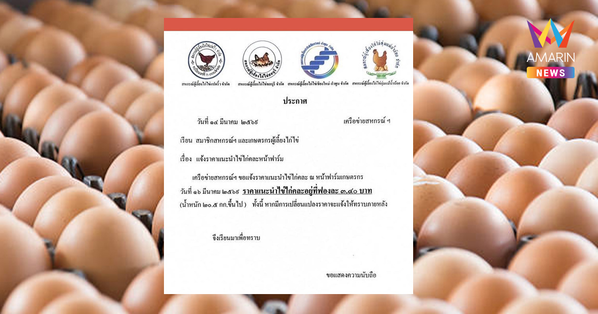 เตรียมควักเงินจ่ายเพิ่ม ไข่ไก่ปรับขึ้นราคาแผงละ6บาท ดีเดย์ 16 มี.ค.นี้