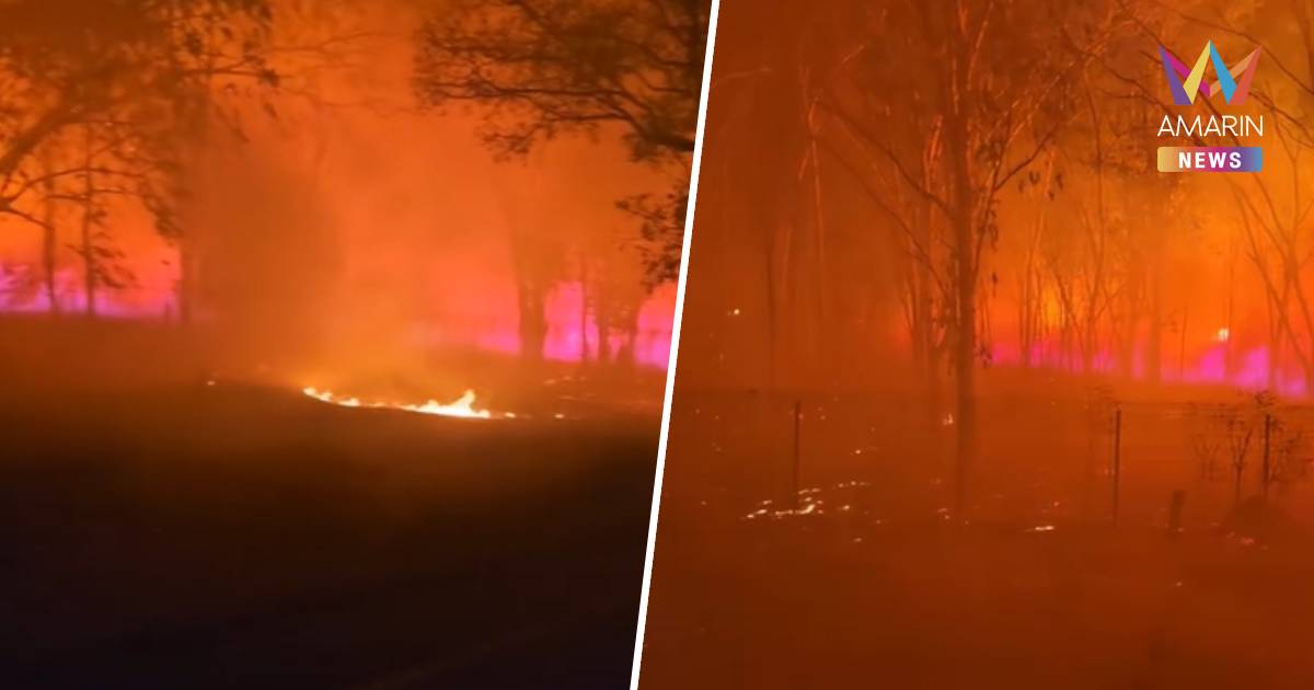 ทะเลเพลิง! ไฟไหม้ป่าใกล้ ท่าอากาศยานนครราชสีมา ปะทุขึ้นอีกรอบ