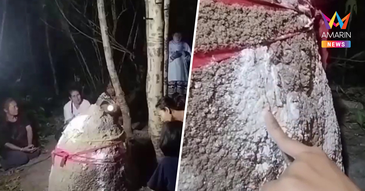 แห่ขอโชคดึกสงัด! "เจ้าพ่อจอมปลวก" อุทัยฯ ให้ลาภงวดก่อนตรงเป๊ะ