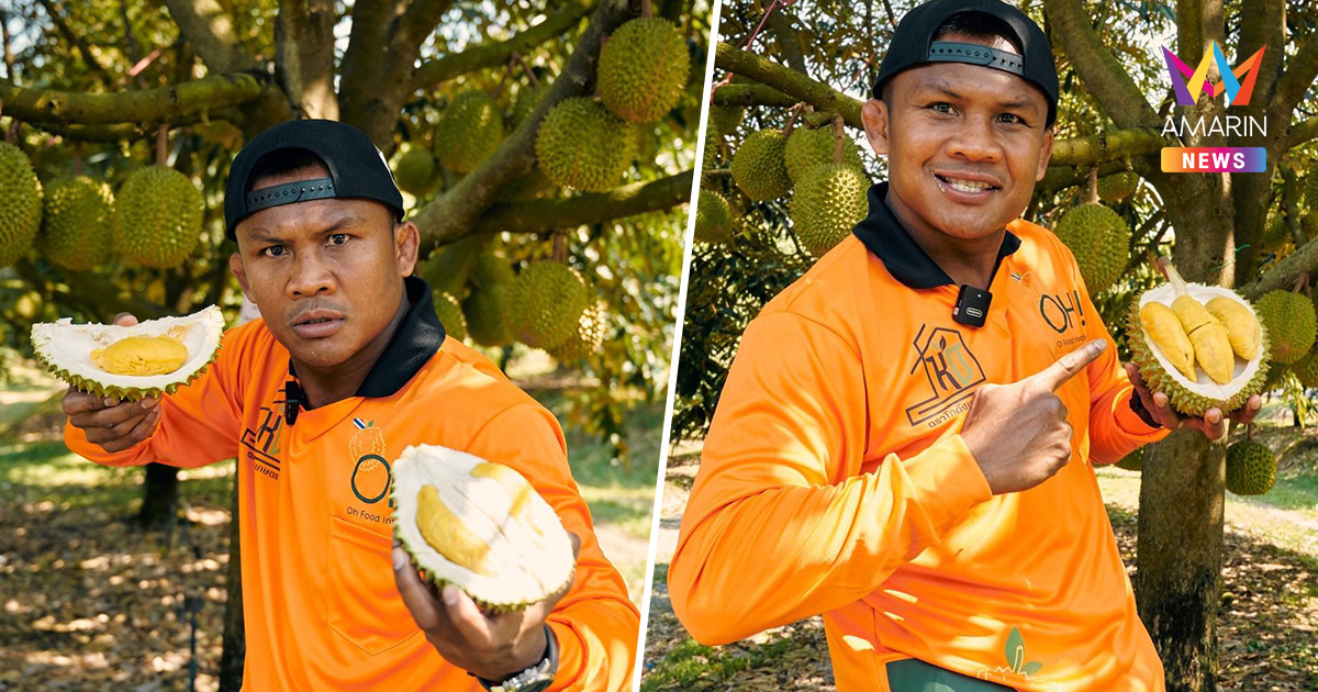 "บัวขาว" ทวงคืนทุเรียนมูซานคิง-หนามดำ ให้คนไทยได้กินของพรีเมียม