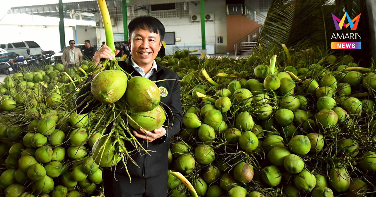 สหกรณ์หนุนแนวคิด "ล้งกลาง" มะพร้าวน้ำหอม ปลดแอกถูกกดราคา