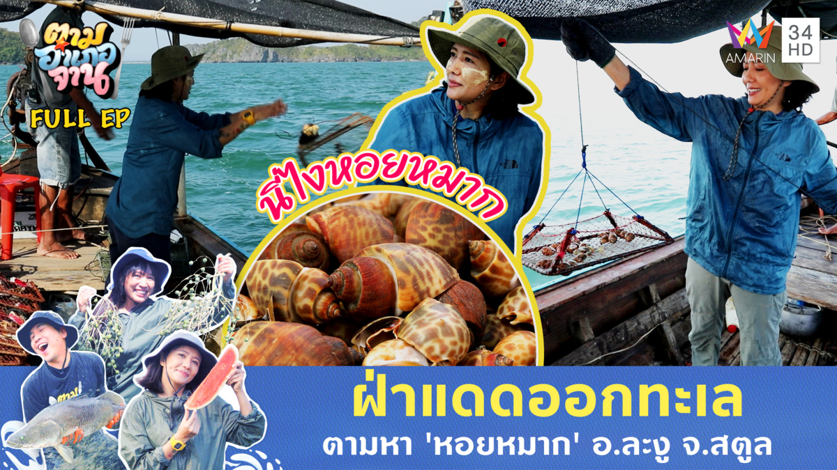 ตามเซียนไปหา 'หอยหมาก' บ้านบ่อเจ็ดลูก จ.สตูล 