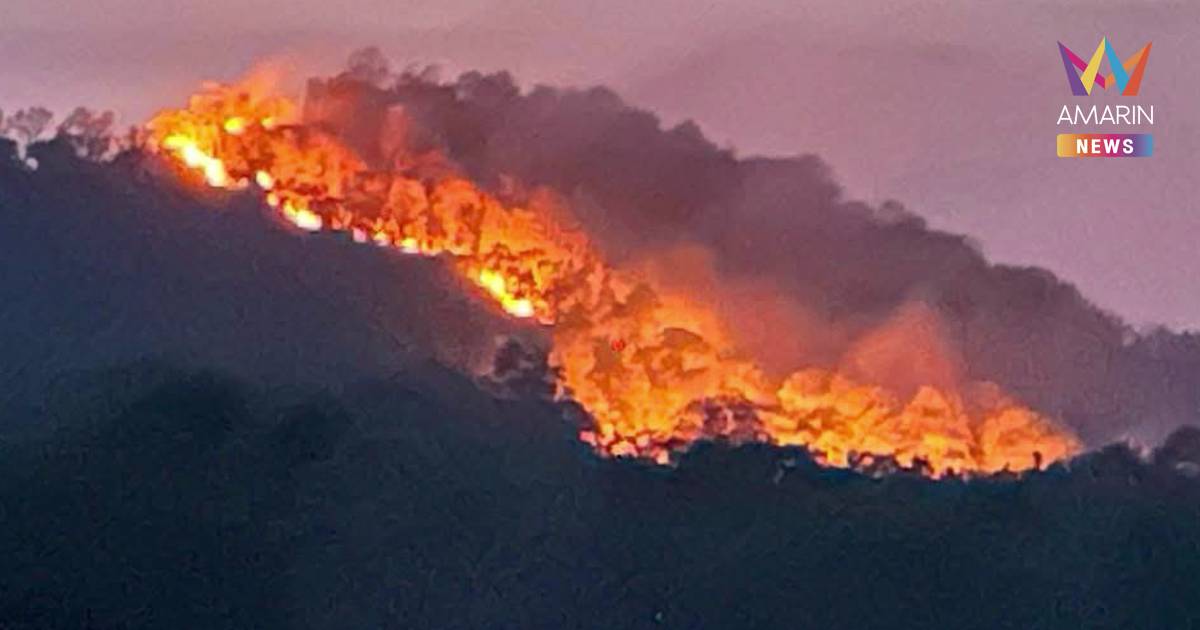 ไฟไหม้ป่าสงวนแห่งชาติป่าดงภูโหล่น ลุกลาม เสียหายกว่า 2 พันไร่ เร่งดับ