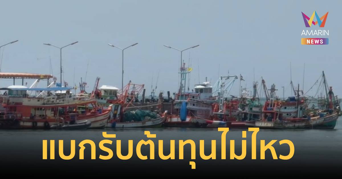 กระทบหนัก!เรือท่องเที่ยวบางเสร่-สัตหีบทยอยจอด หลังน้ำมันพุ่ง