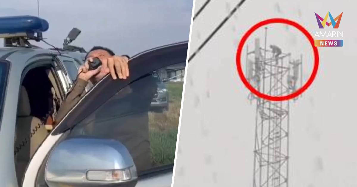 ระทึก! หนุ่มขโมยสายไฟ M6 ปีนเสาสื่อสารหนีผิดสู้พายุ 5 ชม.