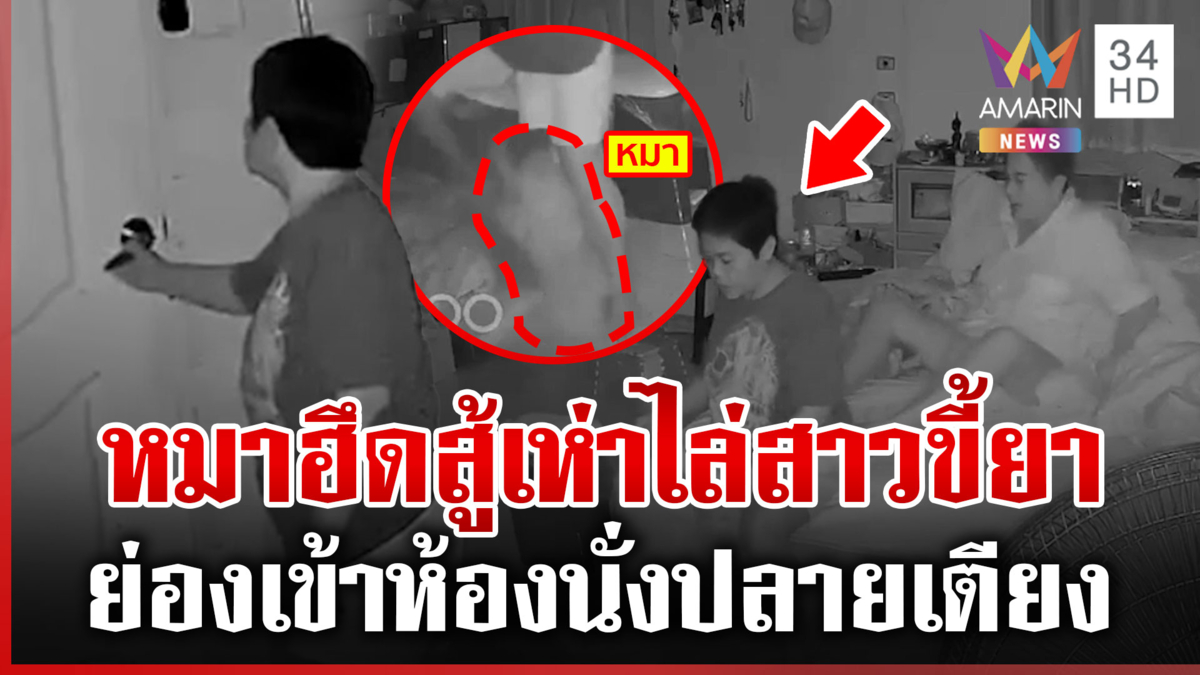 สาวขี้ยารอดคุกบุกถึงห้องนอน โชคดีน้องหมาฮีโรเห่าไล่
