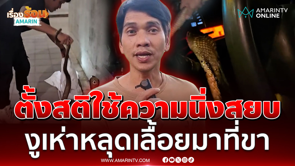 ใจต้องนิ่งจริงๆ​! นาทีงูเห่าหลุดเลื้อยมาที่ขา ก่อนตั้งสติจับยัดกระสอบ