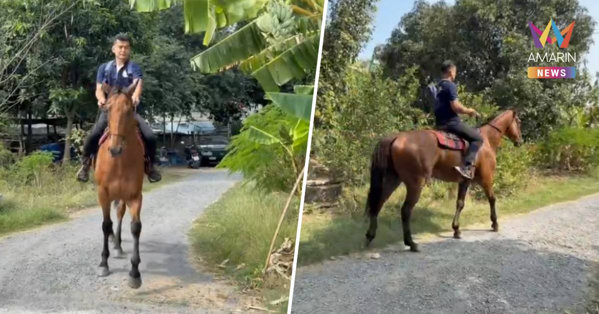 น้ำมันแพงไม่แคร์! หนุ่ม ขี่ม้าไปทำงาน ยอมร้อน แต่ประหยัดค่าใช้จ่าย