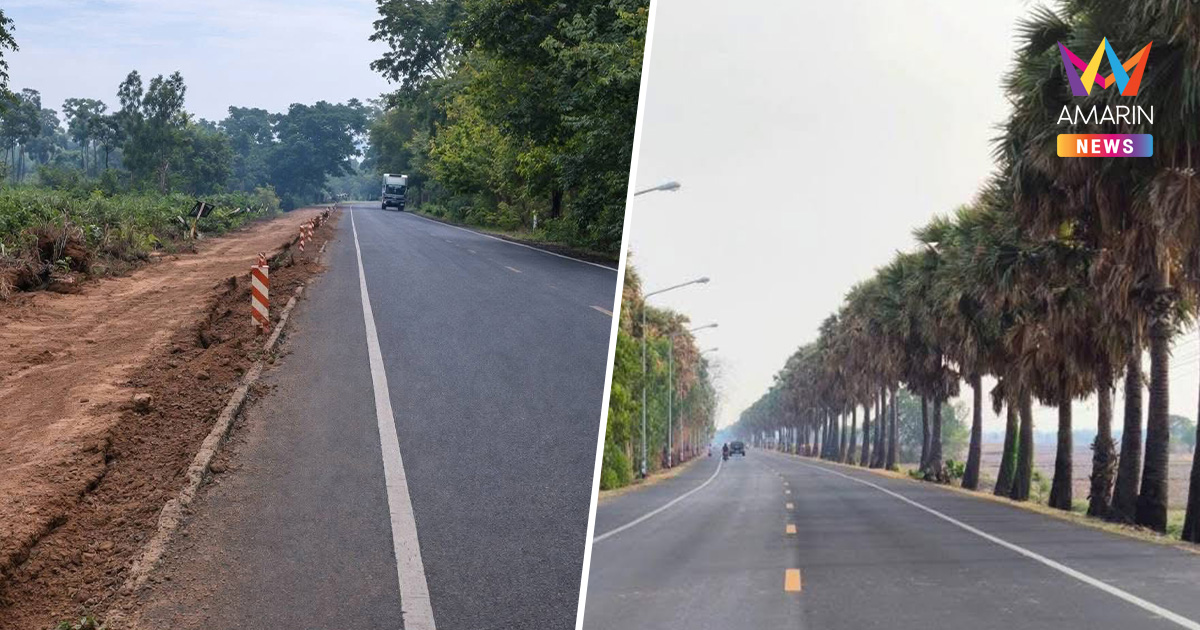 "วันชัย" โพสต์อาลัยต้นตาล "ดาบวิชัย" 3 ล้านต้น ถูกโค่นทำถนน