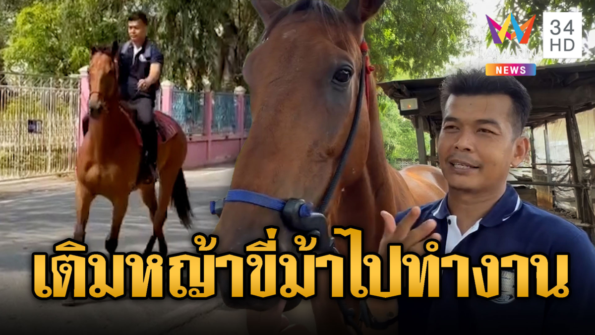 รุ่นนี้ไม่กินน้ำมัน  สท.หนุ่มขี่ม้าชิลๆ ไปทำงาน
