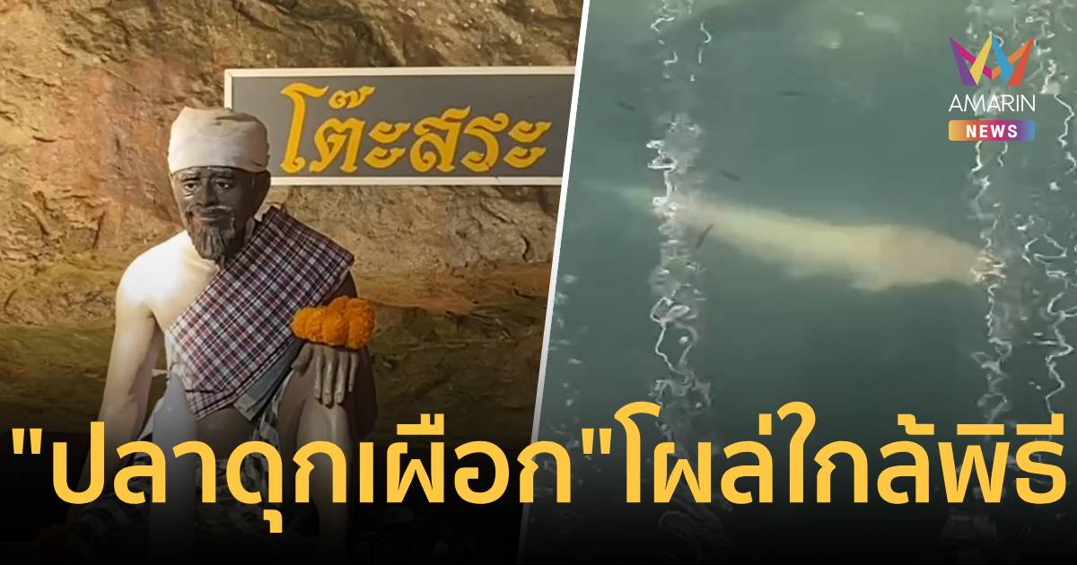 ฮือฮา! ปลาดุกเผือก โผล่ใกล้พิธีบวงสรวง โต๊ะสระ นักสี่ยงโชคไม่ผลาดตีเลข