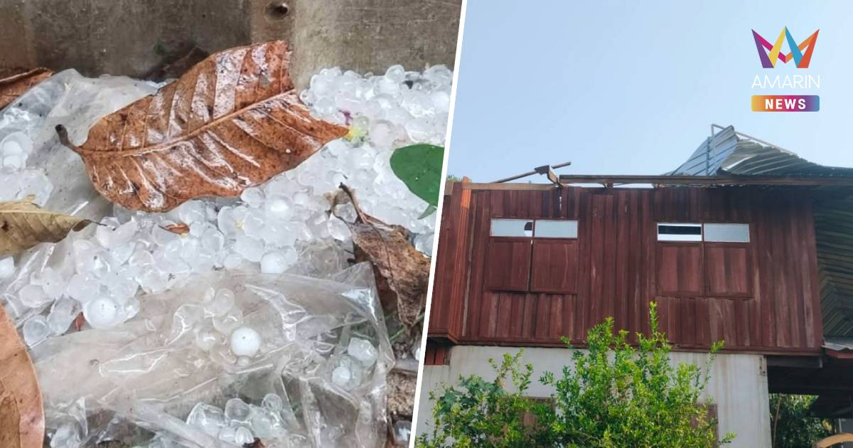 พายุฤดูร้อน! ลูกเห็บกระหน่ำเพชรบูรณ์ บ้านพัง 66 หลัง ควายตาย 3 ตัว