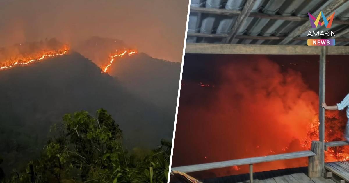 ไฟป่าเชียงใหม่โหมหนักอีก 787 จุด จนท.ดับไฟ ดับจนท้อ จุดธูปแช่งคนผาป่า