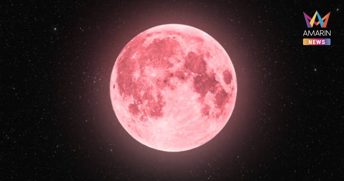 สมาคมดาราศาสตร์ไทย ชวนชม "Pink Moon" จันทร์เพ็ญเดือนเมษายน 2 เม.ย. 69