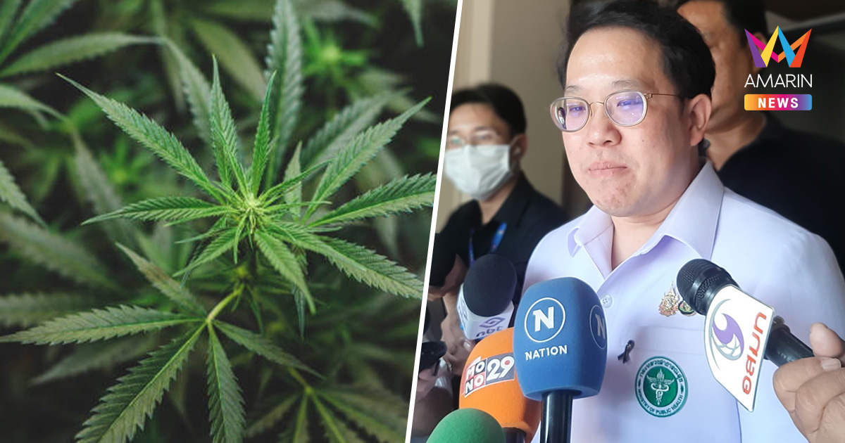 กางแผนสาธารณสุขยุคใหม่! รมว.สธ.สั่งเดินหน้า "กัญชาทางการแพทย์"
