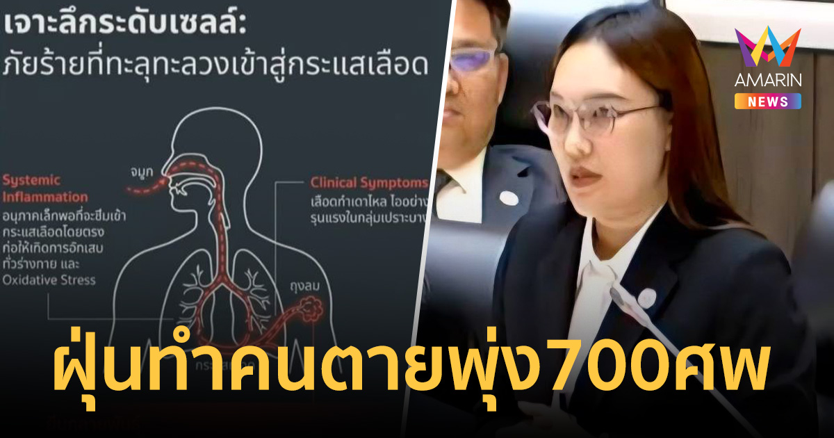 สส.เชียงใหม่แฉ PM 2.5 ทำคนตายพุ่ง700ศพ จี้ประกาศภัยพิบัติทั้งจังหวัด