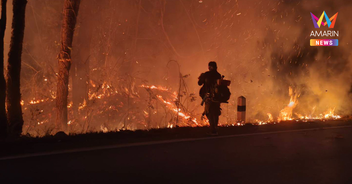 พะเยาวิกฤต! ผู้ว่าฯ สั่งปิดป่า 9 อำเภอ "ขั้นเด็ดขาด" ฝ่าฝืนจับจริง