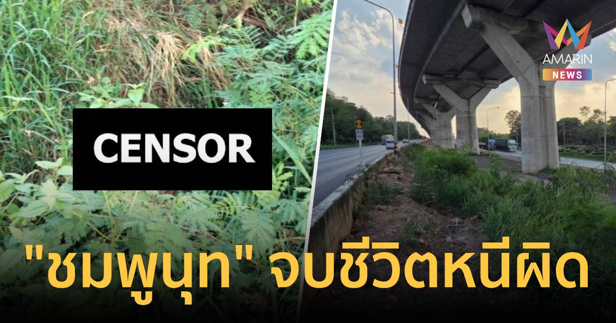 ด่วน! พบศพ “ชมพูนุท” คาดจบชีวิตหนีความผิด คดียิงโฟร์แมนหนุ่มคา M6